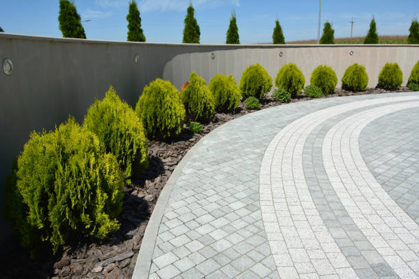 Best Driveway Pavers Near Me  in Auburn, KY