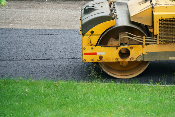 Best Local Driveway Pavers  in Auburn, KY